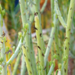 Previous post thumbnail