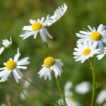 Previous post thumbnail