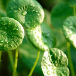 Previous post thumbnail