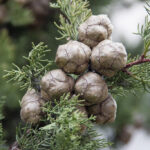 Previous post thumbnail