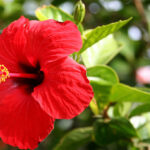 Previous post thumbnail