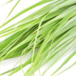 Previous post thumbnail