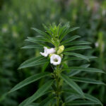 Previous post thumbnail