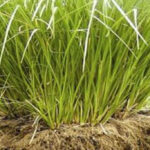 Previous post thumbnail